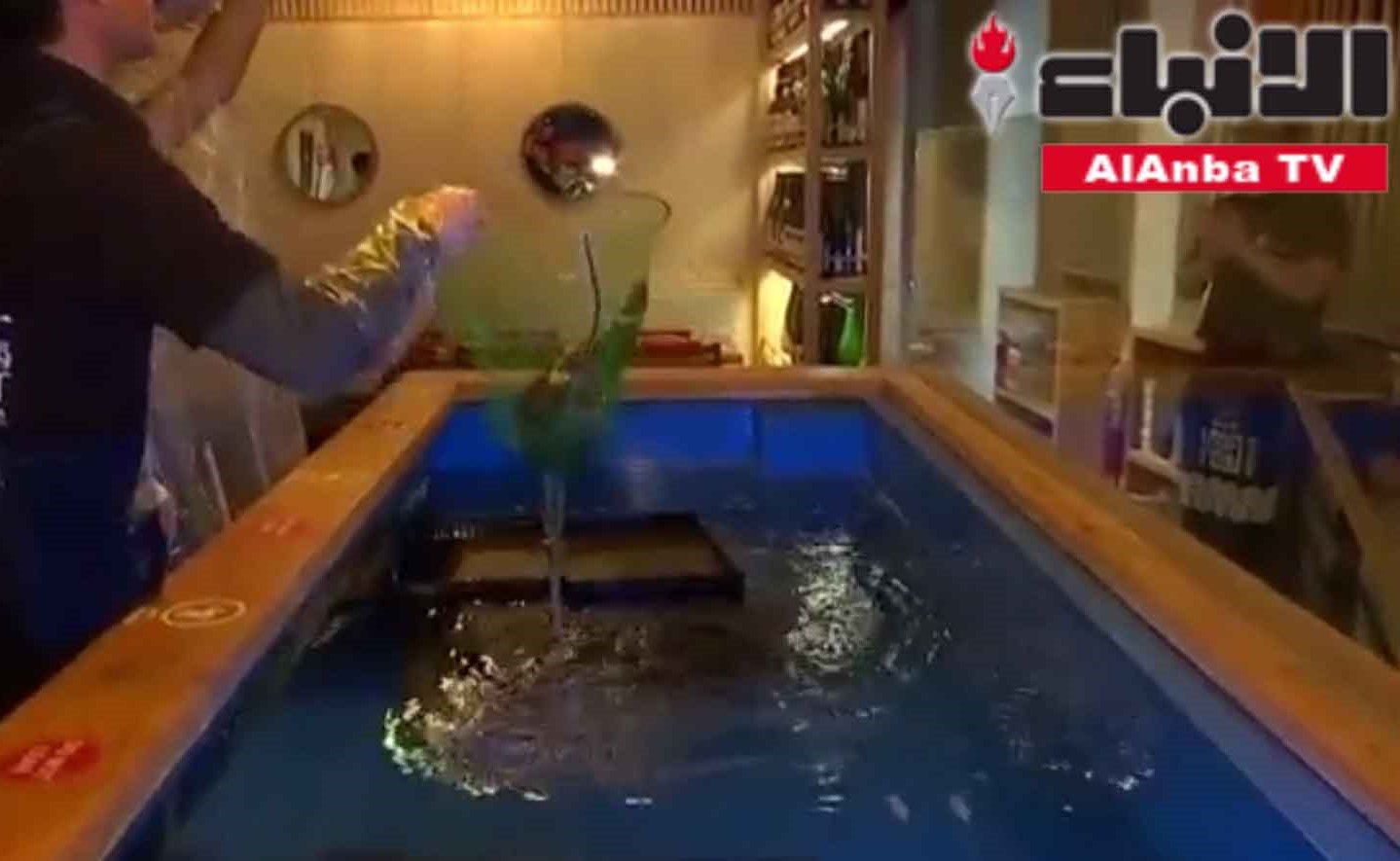 مطعم ياباني في نيويورك يشجع زبائنه على اصطياد الأسماك قبل تناولها