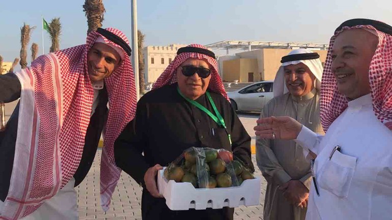 شاهد.. مدينة سعودية يزرع أهلها طماطم بمذاق الفاكهة