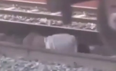 بالفيديو.. معجزة على السكك الحديدية.. قطار يمر فوق رجل ولا يلامسه