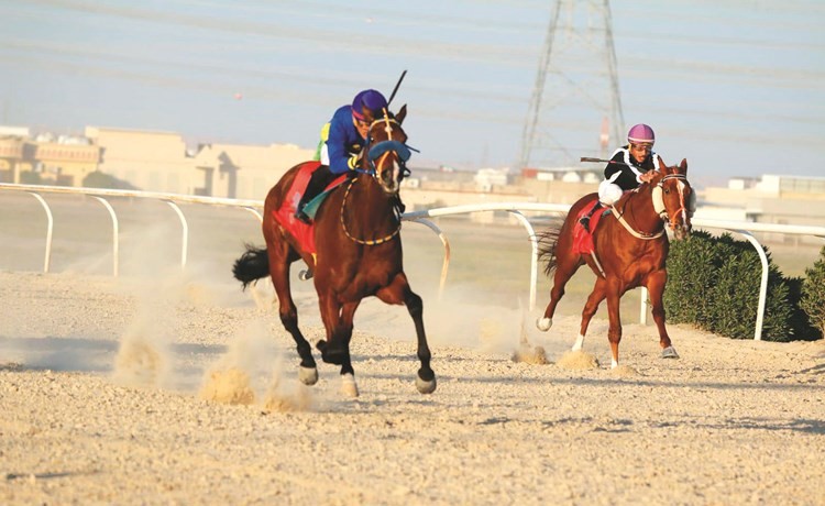 «معاصر» يحرز كأس مهرجان الأعياد الوطنية