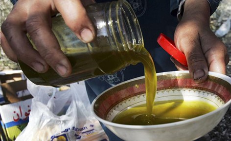 بالفيديو.. من الأشجار إلى موائدكم… هكذا يستخرج زيت الزيتون خطوة بخطوة