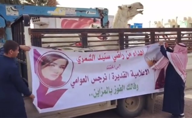 بالفيديو.. ھدیة غیر متوقعة لمذیعة "mbc".. وھذا كان رد فعلھا