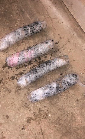 أصابع الحشيش بعد إخراجها ﻿