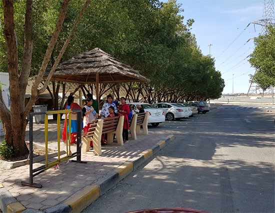 زوار حديقة الحيوان يعودون أدراجهم..والعطية لـ"الأنباء": "البروسيلا" لا ينتقل للإنسان والإغلاق احترازي للسيطرة على المرض