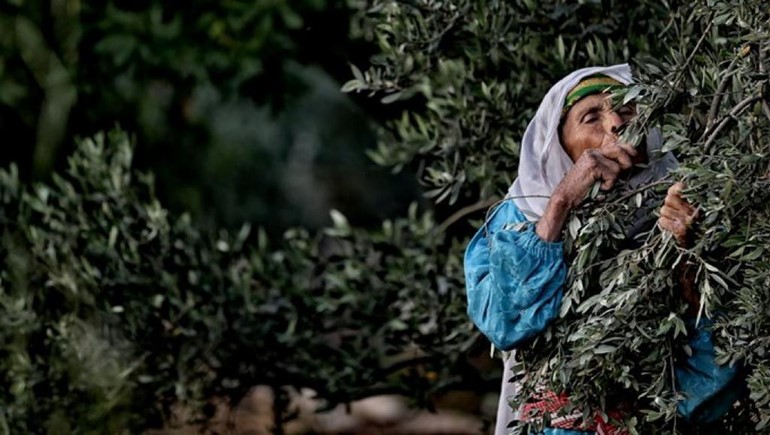 الفلسطينيون يستعدون للقيام بمسيرات مليونية على حدود غزة بمناسبة "يوم الأرض"