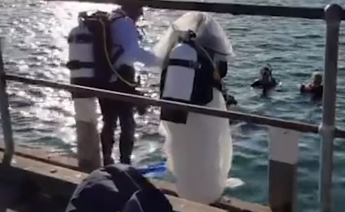 بالفيديو.. أغرب حفل زفاف تحت الماء