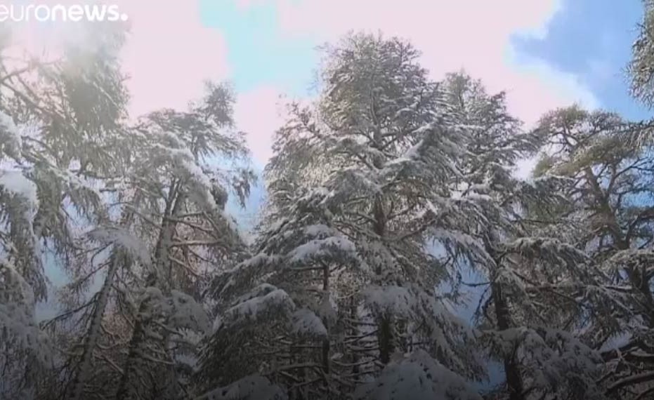 بالفيديو... الثلوج تغطي مدينة إيفران المغربية في شهر ابريل