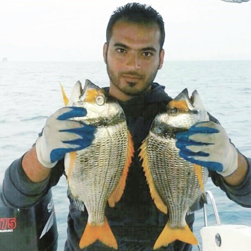 بالفيديو.. منصور بوتيلة: خلطة سرِّية للسبيطي «صلاخة يواف» و «مصران دجاج»