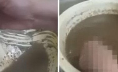بالفيديو.. مواطنة سعودية تكتشف «كارثة» أثناء غسيل بهارات الطعام