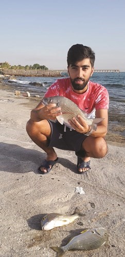 بالفيديو.. المعراج: شعم السيف يبي «الشريب» و «الربيان»