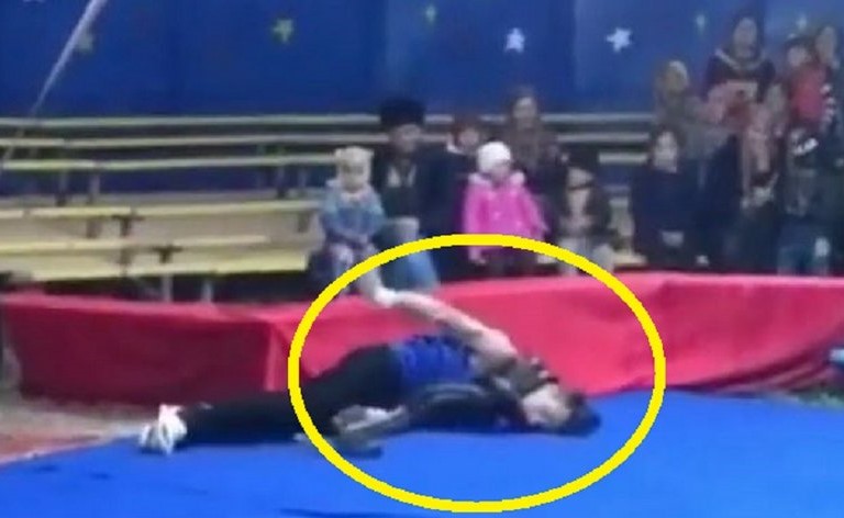 بالفيديو.. بين الحياة والموت.. شاهد حية تخنق مروضها أمام جمهور السيرك