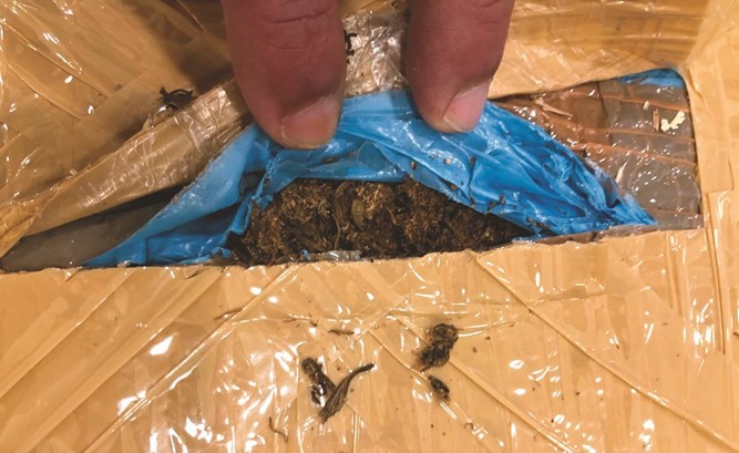 الماريغوانا المضبوطة في المطار﻿