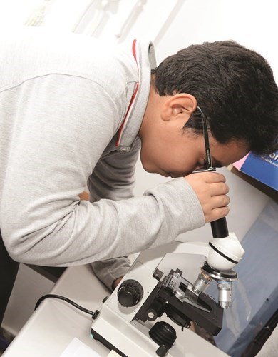 تدريب الطلبة على البحث العلمي﻿