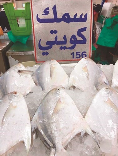 هل يؤثر وقف صيد الزبيدي المحلي على أسعاره؟﻿