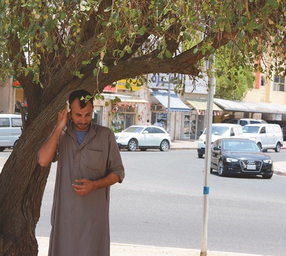 أحد الأشخاص يحتمي تحت شجرة لتفادي أشعة الشمس﻿