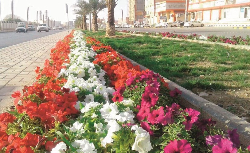 الجمال بحاجة إلى من يرعاه ﻿