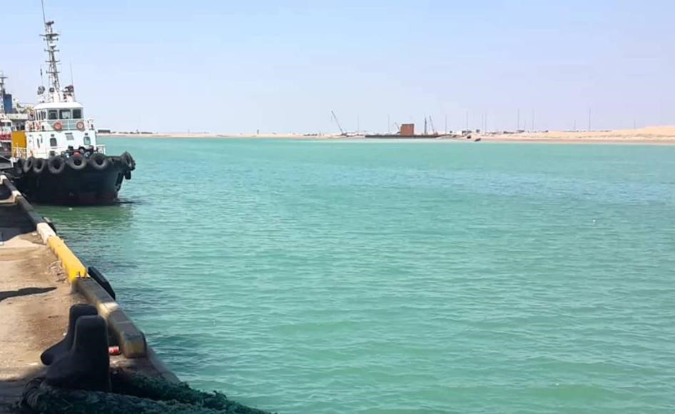 بالفيديو.. دلافين بمياه العراق عند ميناء البصرة في مشهد لافت