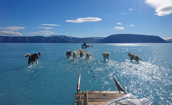 كلاب تمشي على الماء.. صورة نادرة تنذر بمستقبل "مرعب"