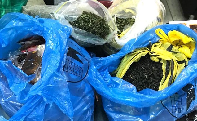 المواد المخدرة المشتبه في أنها ماريغوانا أحيلت إلى وزارة الداخلية﻿