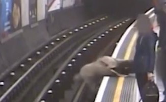 بالفيديو.. رجل يدفع مسناً على قضبان قطار الأنفاق بلندن