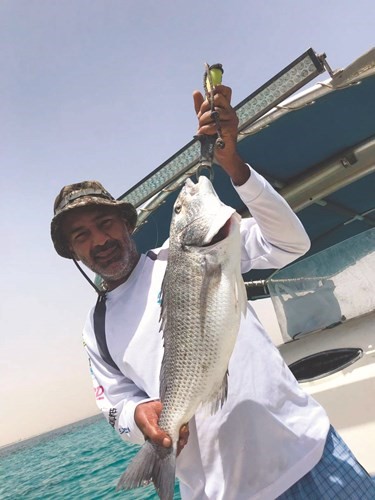 حسن بوصلحة: طرق الصيد في تطور ولفاح السيف الأفضل