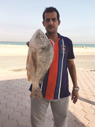 أحمد الكندري: حالياً موسم الهامور والشعم الأصفر والسبيطي