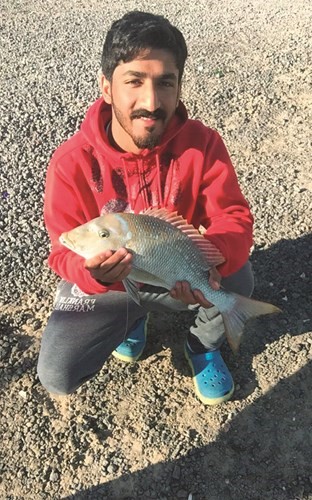 الطاهر: السبيطي مزاجي نوِّع له بالييمه.. والنقرور بالغزر