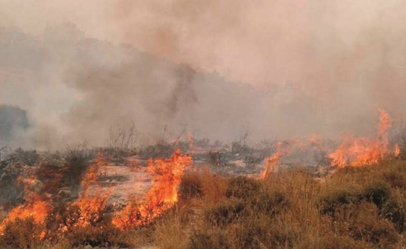 حريق اندلع في احراج بلدة حبشيت العكارية	(انترنت)﻿