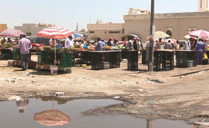 بالفيديو.. « جليب الشيوخ ».. غياب للقانون ومركز للأوبئة