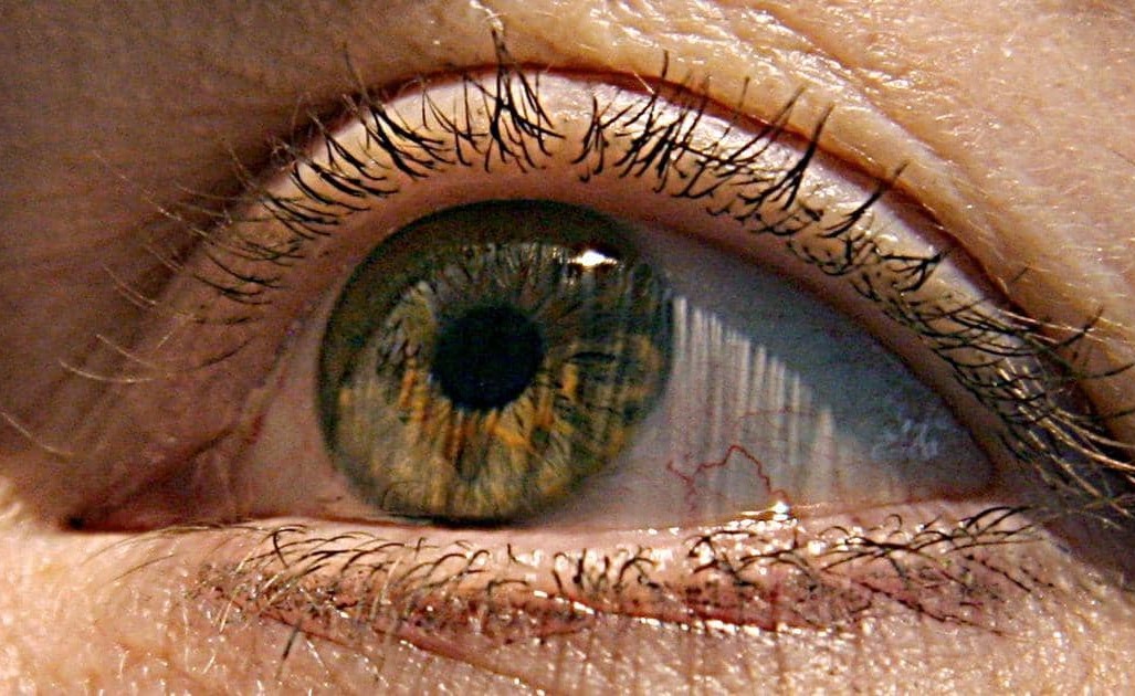 عدسة لاصقة آلية تكبر وتصغر "بطرفة العين"