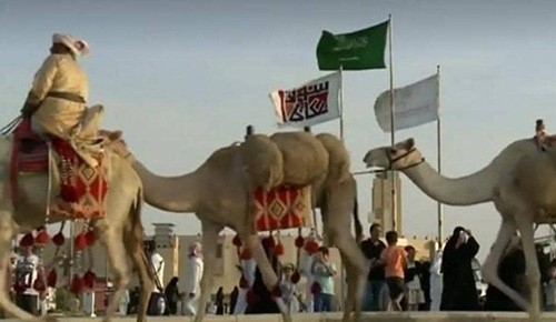 "حي العرب".. جديد مهرجان "سوق عكاظ"