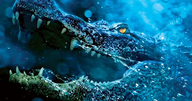 بالفيديو.. «CRAWL» ..قصة بسيطة لكنها ذات تأثير كبير