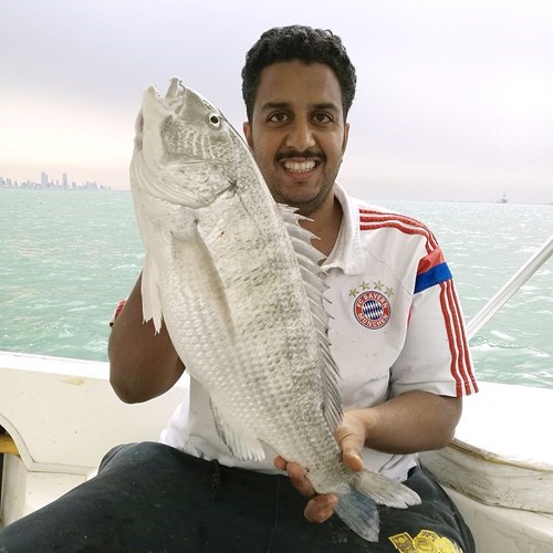 السيف: الشماهي بالدردور وغرامه الربيانه
