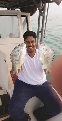 السيف: الشماهي بالدردور وغرامه الربيانه