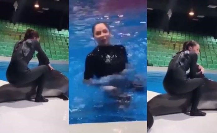 بالفيديو.. لماذا فتحت دبي تحقيقًا في هذا الفيديو؟