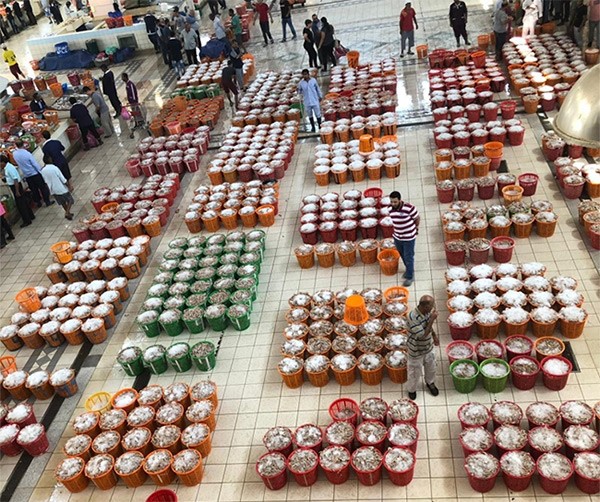 الصويان: تعاون مع «الزراعة» لزيادة المصيد وخفض الأسعار