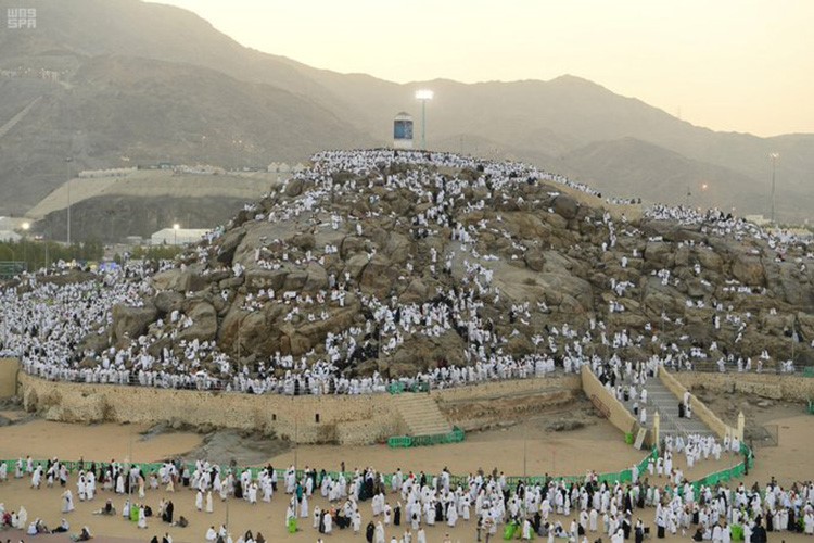 في أجواء إيمانية مفعمة بالخشوع والسكينة.. حجاج بيت الله الحرام على صعيد عرفات الطاهر