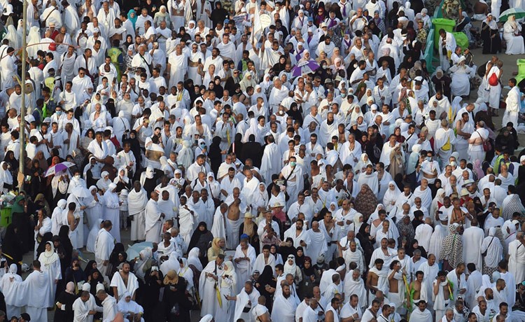 في أجواء إيمانية مفعمة بالخشوع والسكينة.. حجاج بيت الله الحرام على صعيد عرفات الطاهر