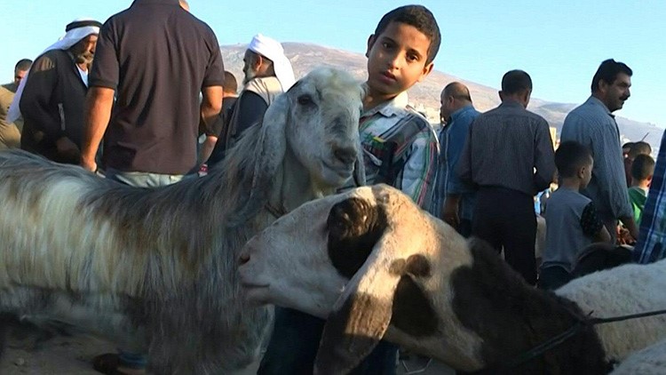 الأزمة المالية في الأراضي الفلسطينية تثني كثراً عن شراء أضاحي العيد هذا العام