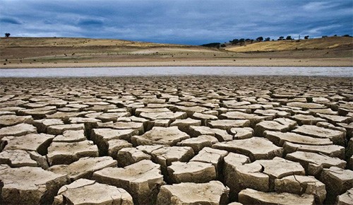 تطبيق «تيك توك» ينشر مقاطع فيديو للتوعية حول تغيرات المناخ