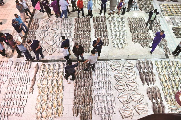 تشكيلة منوعة من السمك المستورد في سوق شرق	﻿