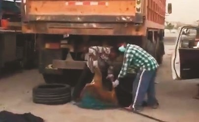 من المقطع الذي صوره مواطن وتم تداوله على مواقع التواصل﻿