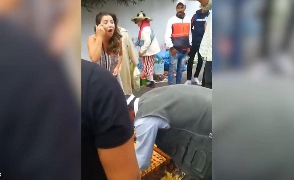 بالفيديو.. سائحة بريطانية تهاجم تجار المغرب "لإنقاذ الدجاج"