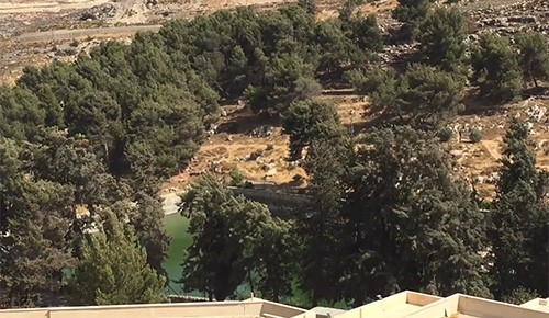 بالفيديو.. برك سليمان متنفس طبيعي للفلسطينيين رغم الاحتلال