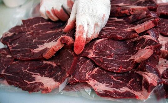 عالم سويدي يدعو لأكل جثث البشر