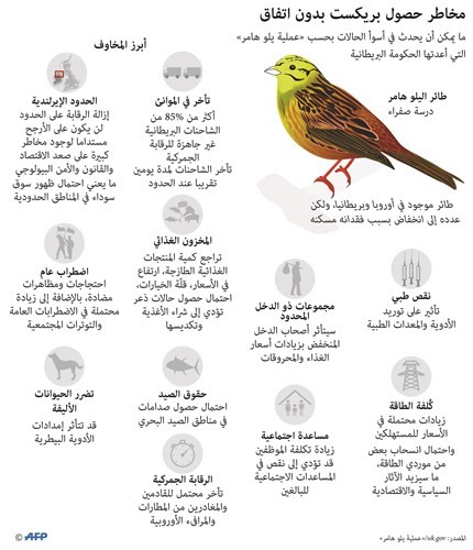 «المطرقة الصفراء»: «بريكست» دون اتفاق يعني اضطرابات وأزمات غذاء ودواء