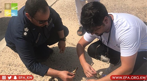 بالفيديو.."البيئة": ضبط أشخاص يقومون بالصيد بأماكن غير مسموح بها في فيلكا