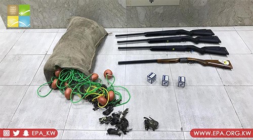 بالفيديو.."البيئة": ضبط أشخاص يقومون بالصيد بأماكن غير مسموح بها في فيلكا
