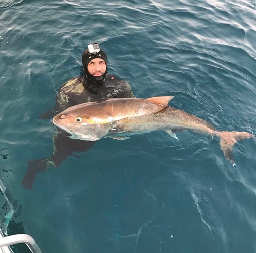 الرميضي: صيد الچنعد يبي خبرة وحداقه بالخيط صعب