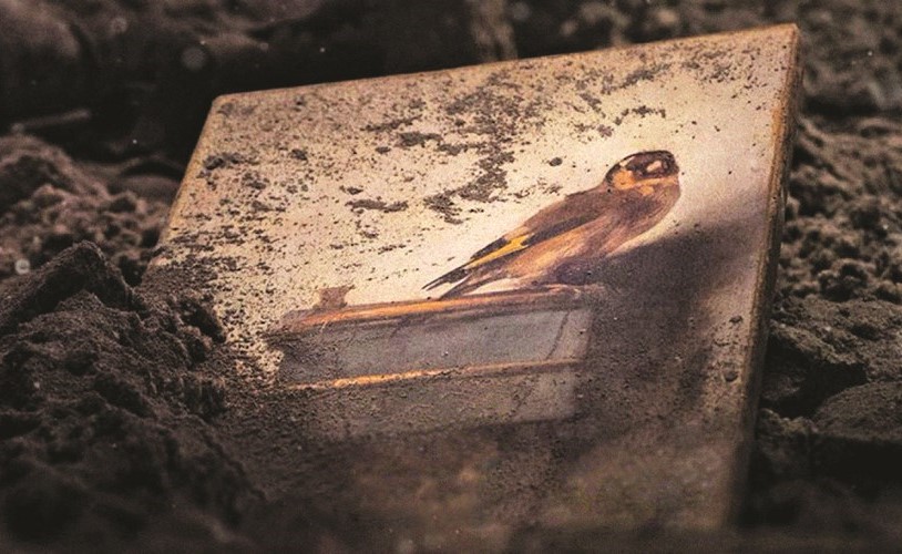 بالفيديو.. The Gold Finch حبكة درامية تراجيدية شبيهة بالروايات